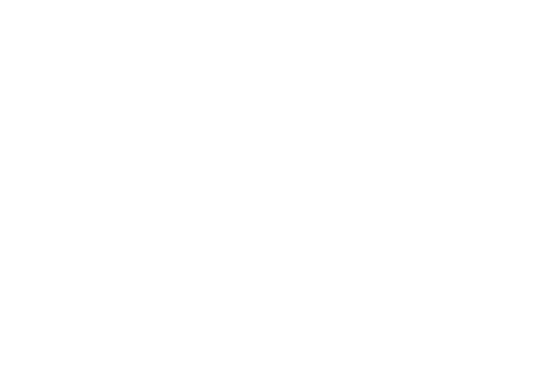 SRIXON